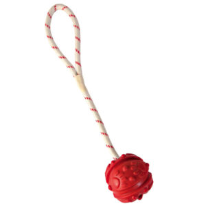 Trixie Naturgummiball am Band, schwimmend &#8211...